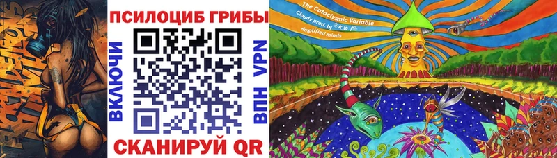 Псилоцибиновые грибы ЛСД  гидра ONION  Юрьевец  где купить наркоту 